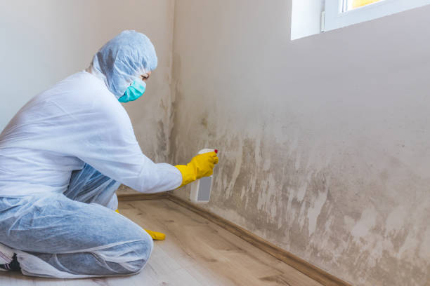 Commercial Mold Remediation assessment for commercial property in Frisco